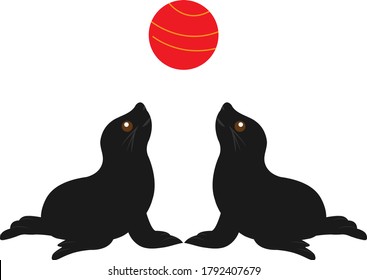Seals are playing red ball isolated on white background.