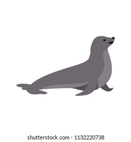 Seals vector graphic element design