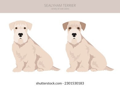 Sealyham terrier clipart. Different poses, coat colors set.  Vector illustration