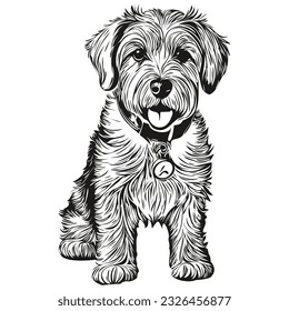 Sealyham Terrier dog hand drawn logo drawing black and white line art pets illustration