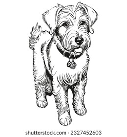 Sealyham Terrier perro ilustración realista de mascotas, dibujo a mano cara raza vectorial blanca y negra de raza realista