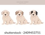 Sealyham terrier puppies clipart. Different poses, coat colors set.  Vector illustration