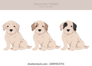 Clíparte de cachorros de Sealyham terrier. Postas diferentes, colores de abrigo.  Ilustración del vector