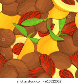 Seamelss pattern Nutmeg spice fruit. Vector card illustration. Nutmeg nuts background, fruit in the shell, whole, shelled, leaves for packaging design of healthy food