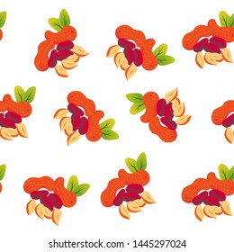 Seamleass pattern of coloured nuts on white background