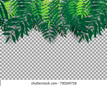 Seamles background with tropical trees. Leaves palm tree illustration on transparent background. Modern graphics.