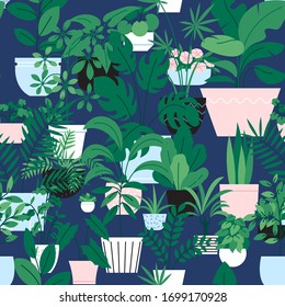 Seamles pattern of different houseplants