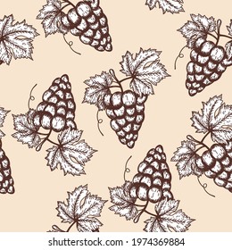 Seamles Pattern Of Grape. Hand Drawn Sketch. Retro Vintage Design. Vector Illustration.