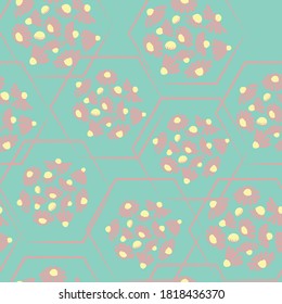 Seamles pattern Made of Chamomile Flower Arranged in Circles and Hexagon Shapes. Abstract Floral Seamless Background.