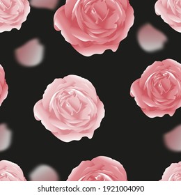Seamless 3d English rose with petals on black background,Pink flowers pattern with blurry petals flying, Endless classic design of flora for fabric or wrapping paper,Spring or Summer floral background