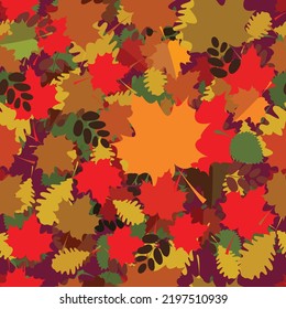 Seamless abstract pattern. Autumn background with randomly arranged leaves of Canadian maple, oak and other trees