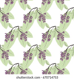 Seamless abstract pattern of leaves and flowers on a white background.