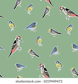 Seamless abstract pattern with wild European birds. Cartoon style.
