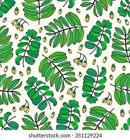Seamless acacia floral blossom colorful pattern vector