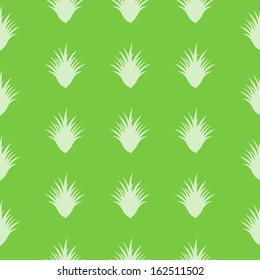 seamless Aloe Vera pattern with special design