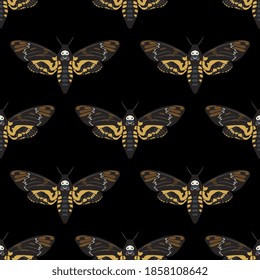 Seamless animal pattern with African death's head hawkmoth butterflies. Acherontia atropos.