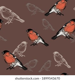 Seamless animal pattern with Eurasian bullfinch birds. Pyrrhula pyrrhula.