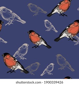 Seamless animal pattern with Eurasian bullfinch birds. Pyrrhula pyrrhula.