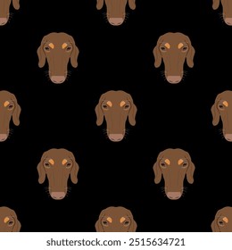 Seamless animal pattern with heads of dachshund breed dog. Canine pet portraits. Cartoon style. On black background.