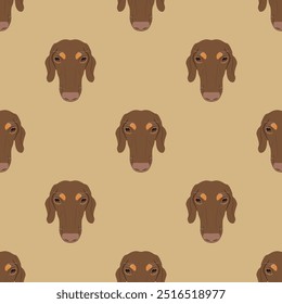 Seamless animal pattern with heads of dachshund breed dog. Canine pet portraits. Cartoon style. On yellow background.