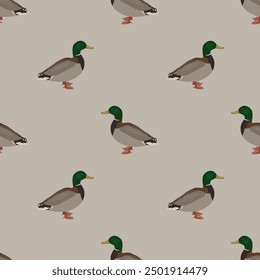 Seamless animal pattern with male mallards. Winter design with wild ducks. Anas platyrhynchos. On gray background.