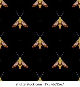 Seamless animal pattern with moth butterfly Hummingbird clearwing. Hemaris Thysbe.