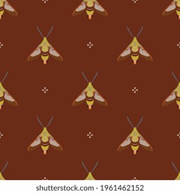 Seamless animal pattern with moth butterfly Hummingbird clearwing. Hemaris Thysbe.