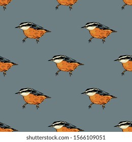 Seamless animal pattern with silhouettes of nuthatch bird. (Sitta europaea). Hand drawn colorful sketch.
