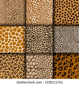 Seamless animal pattern skin fur vector pack