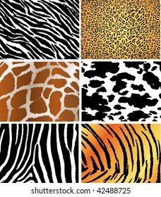 Seamless animal pattern skin fur vector pack