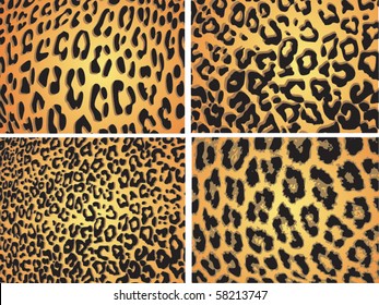 Seamless animal pattern skin fur vector leopard pack collection