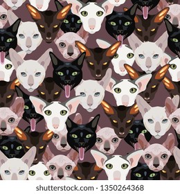 Seamless animal pattern with stylized funny faces of domestic cats of different breeds. Flat cartoon style.
