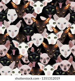 Seamless animal pattern with stylized funny faces of domestic cats of different breeds. Flat cartoon style.