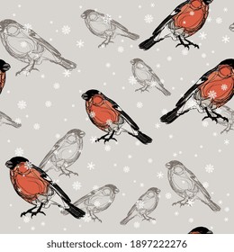 Seamless animal winter pattern with Eurasian bullfinch birds and snowflakes. Pyrrhula pyrrhula.