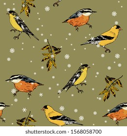 Seamless animal winter pattern with North American birds and snowflakes. Hand drawn sketches.