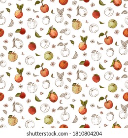 Seamless apple fruit, leaves, flowers with seed and leaves pattern hand drawn sketch vector illustration. Background for fabric print, textiles, wrapping paper, food packaging. 