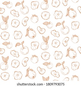 Seamless apple fruit sliced, chips in half with seed and leaves pattern hand drawn sketch vector illustration. Background for fabric print, textiles, wrapping paper, food packaging. 