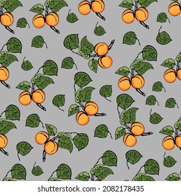 Seamless with apricot on a medium light shade of gray background. Vector hand-drawn illustration