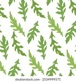 Seamless Arugula Leaf Pattern - Fresh Green Rocket Salad Leaves on White Background
