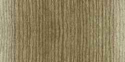 Seamless Ash Texture. Light Ash Wood. Seamless Wood. Vector Illustration