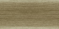 Seamless Ash Texture. Light Ash Wood. Seamless Wood. Vector Illustration
