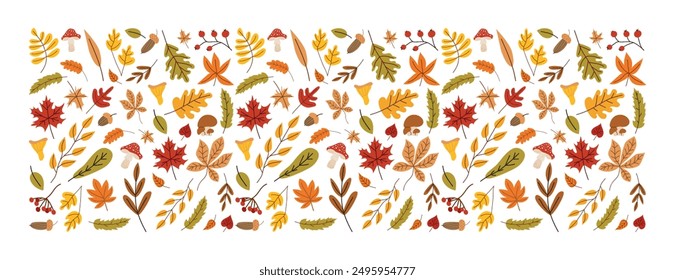 Seamless autumn background. Different leaves in bright fall colors. Hand-drawn style. Banner for seasonal holidays, thanksgiving day. White isolated background. 