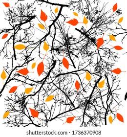 The seamless autumn background is the silhouettes of the trees. Print tree branches. Vector illustration