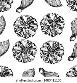 seamless autumn Botanical pattern flower seeds and maple , hand drawing, vector