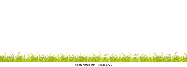 Seamless autumn grass, yellowed with spikelets on a white background. Vector illustration, flat cartoon design, eps 10.