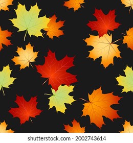 Seamless autumn leafs vector pattern. Back to school, education. vector design. 