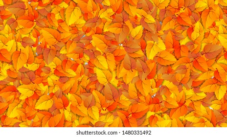 Seamless autumn leaves horizontal fill banner. Advertising template with golden autumn fall orange leaf pattern. Design template for sale backdrop. Vector illustration