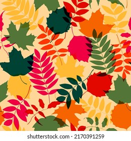 Fondo de patrón de hojas de otoño sin foco. Ilustración de color vectorial con efecto múltiple 
