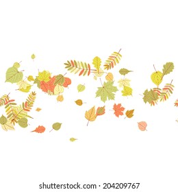 Seamless autumn leaves pattern. EPS10