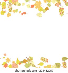 Seamless autumn leaves pattern. EPS10